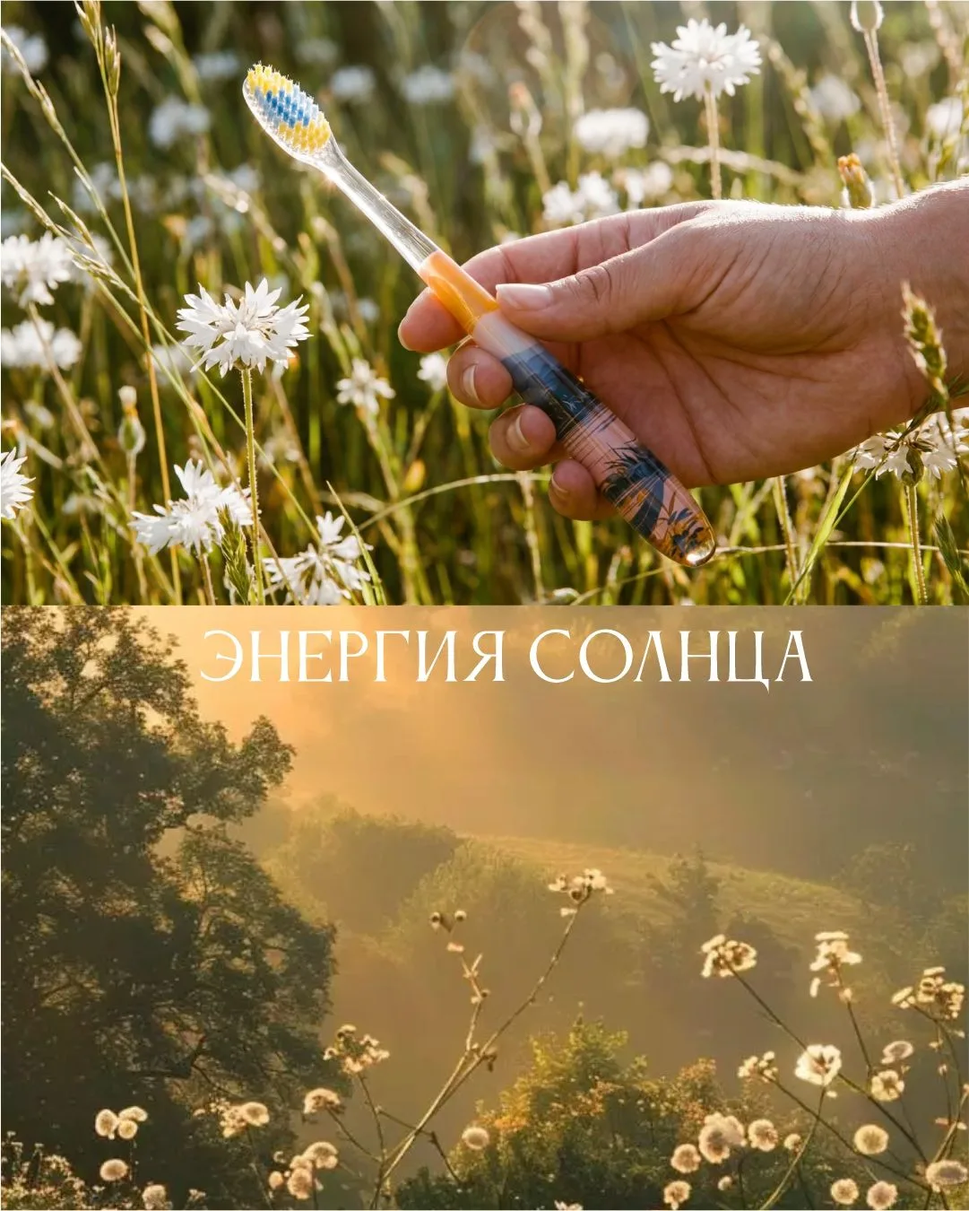 Проснуться в палатке, выйти к озеру и почувствовать момент...  Только вы и тишина, в которой рождает