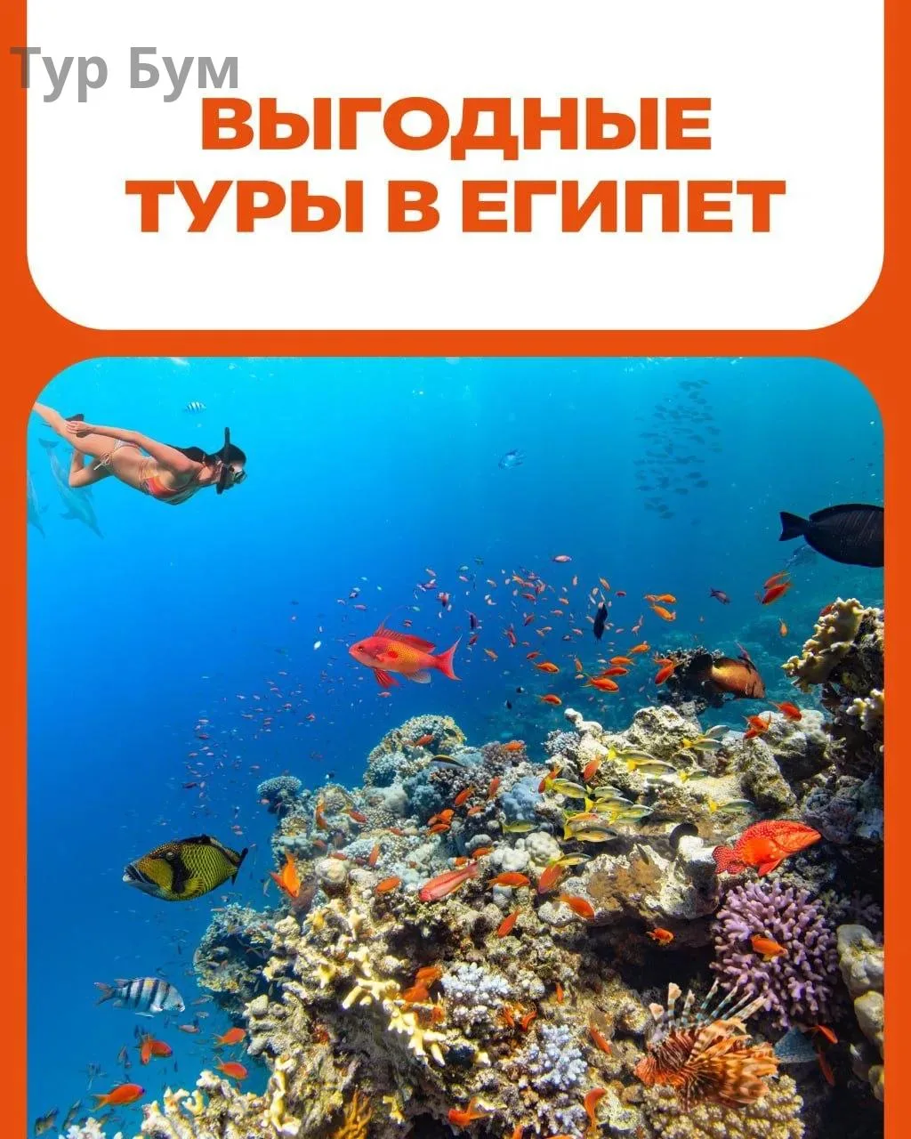 А вы знаете что...?