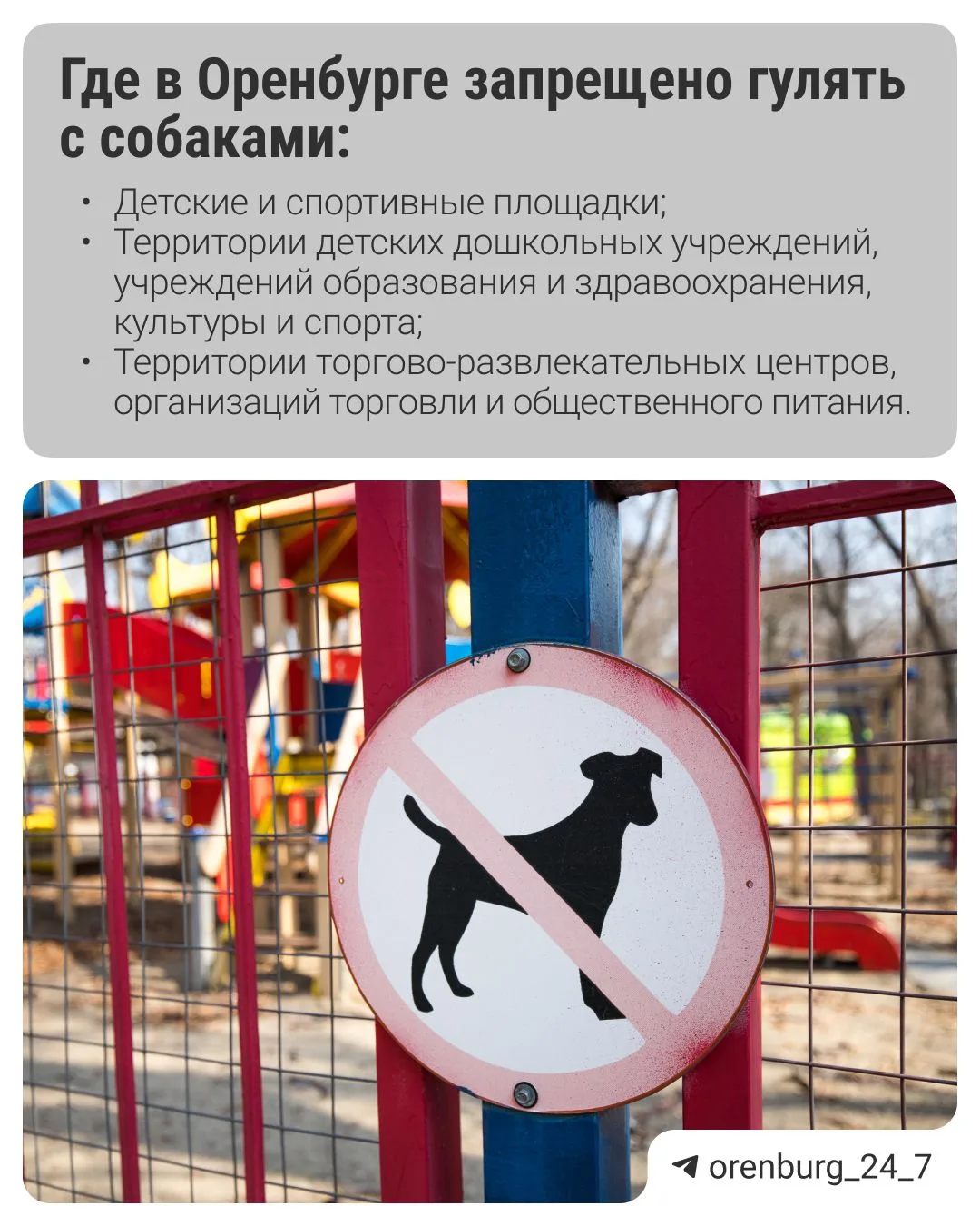 В Оренбурге определили список мест, разрешенных для выгула домашних животных.