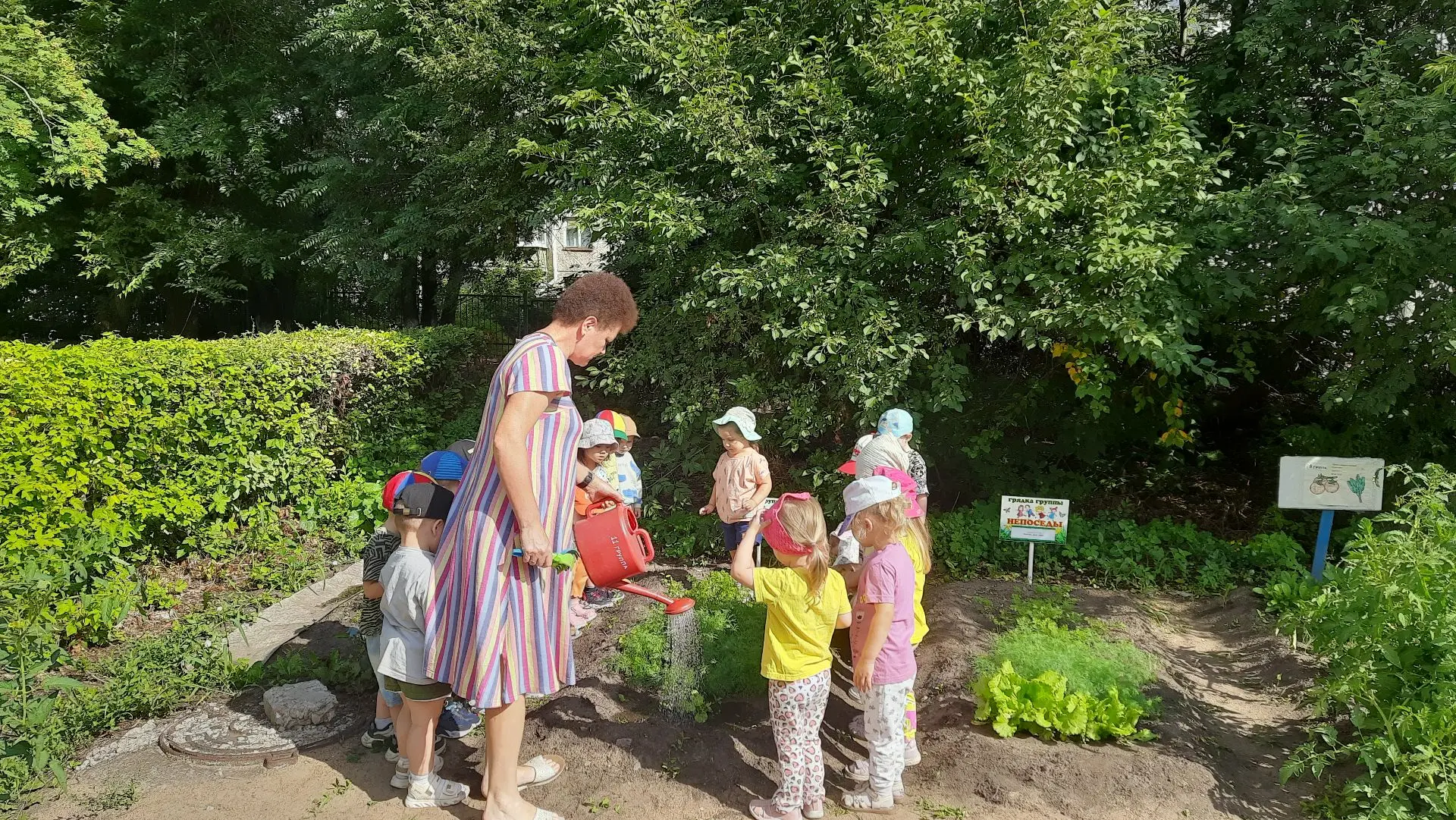 🌱 Секреты грядок в детском саду № 207: дети в роли агрономов

🥒 В детском саду № 207 в рамках летн