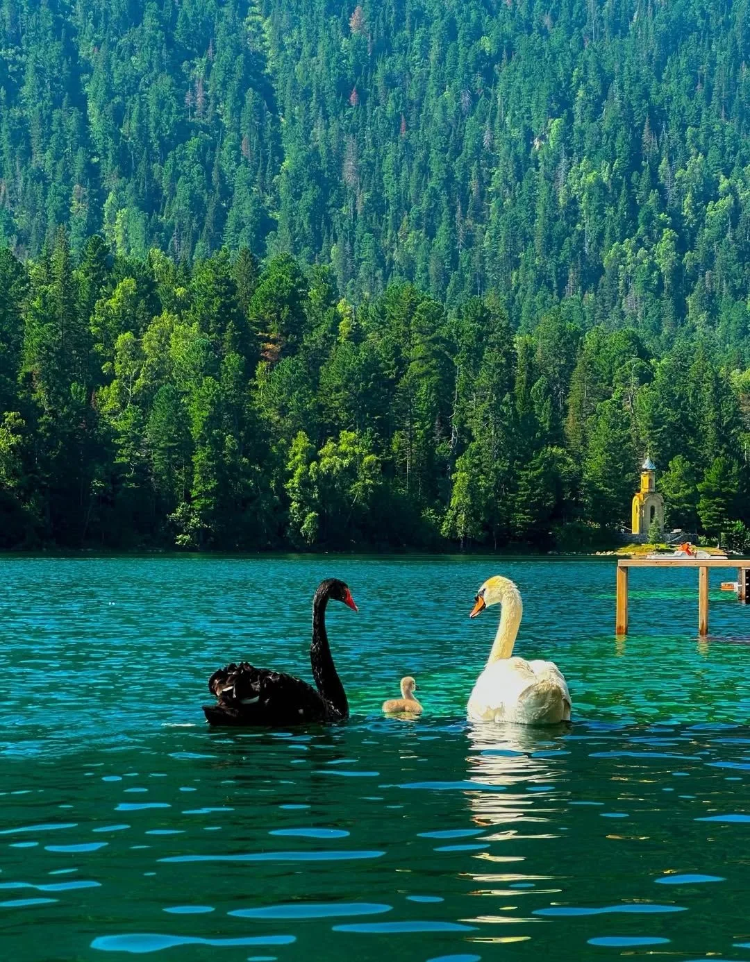 Теплые озера на р.Снежной