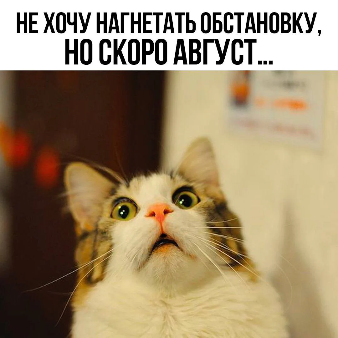 👑 Королева сарказма
🐱 Котики • Подписаться
💌 Открытки • Подписаться
