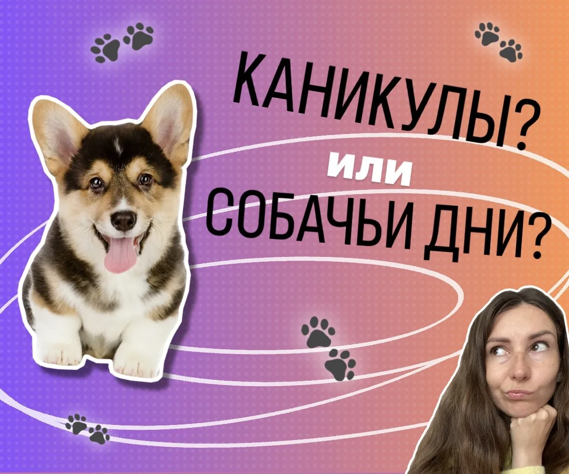 Как каникулы связаны с собакой? 🐶