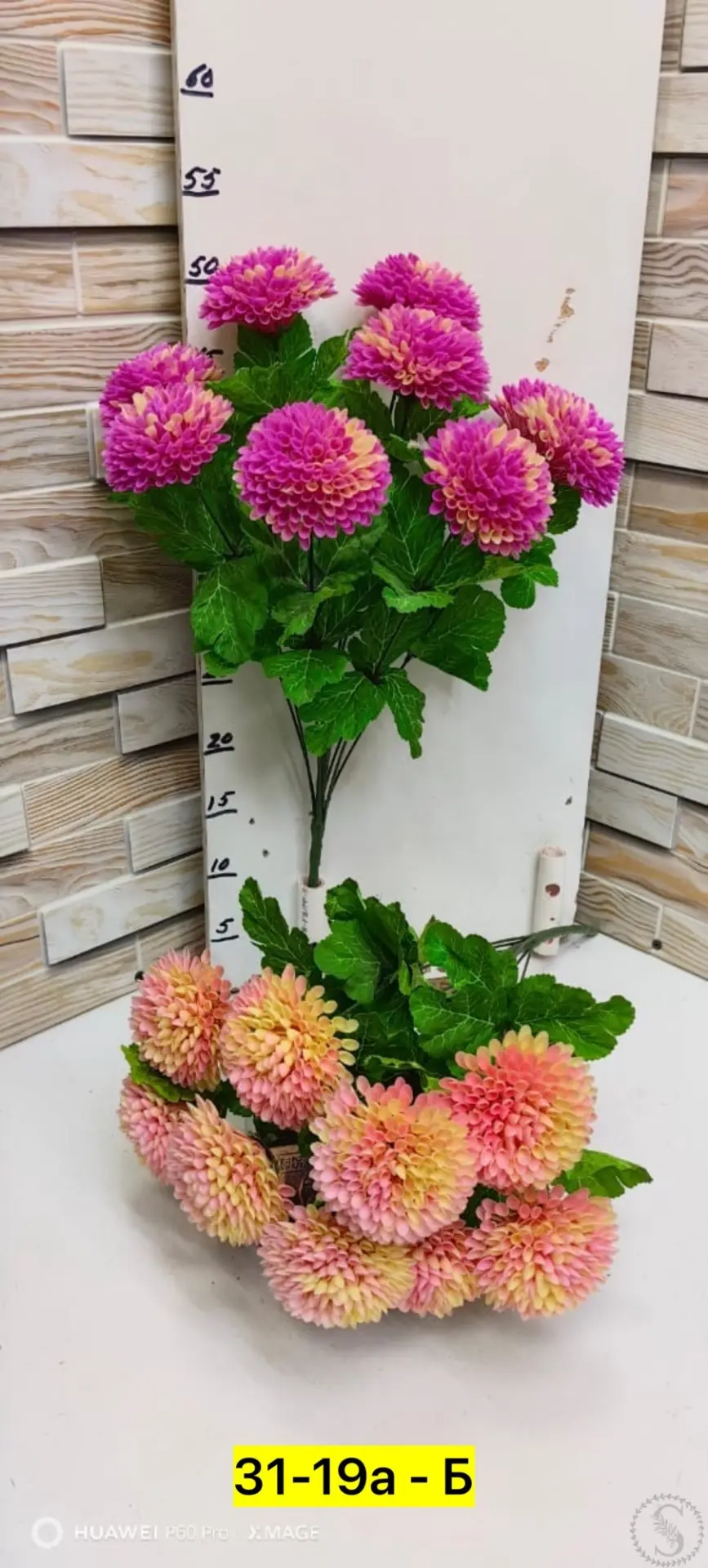 https://vk.com/photo-184814919_493580293