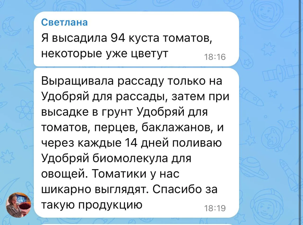 Наша покупательница поделилась своей схемой выращивания томатов