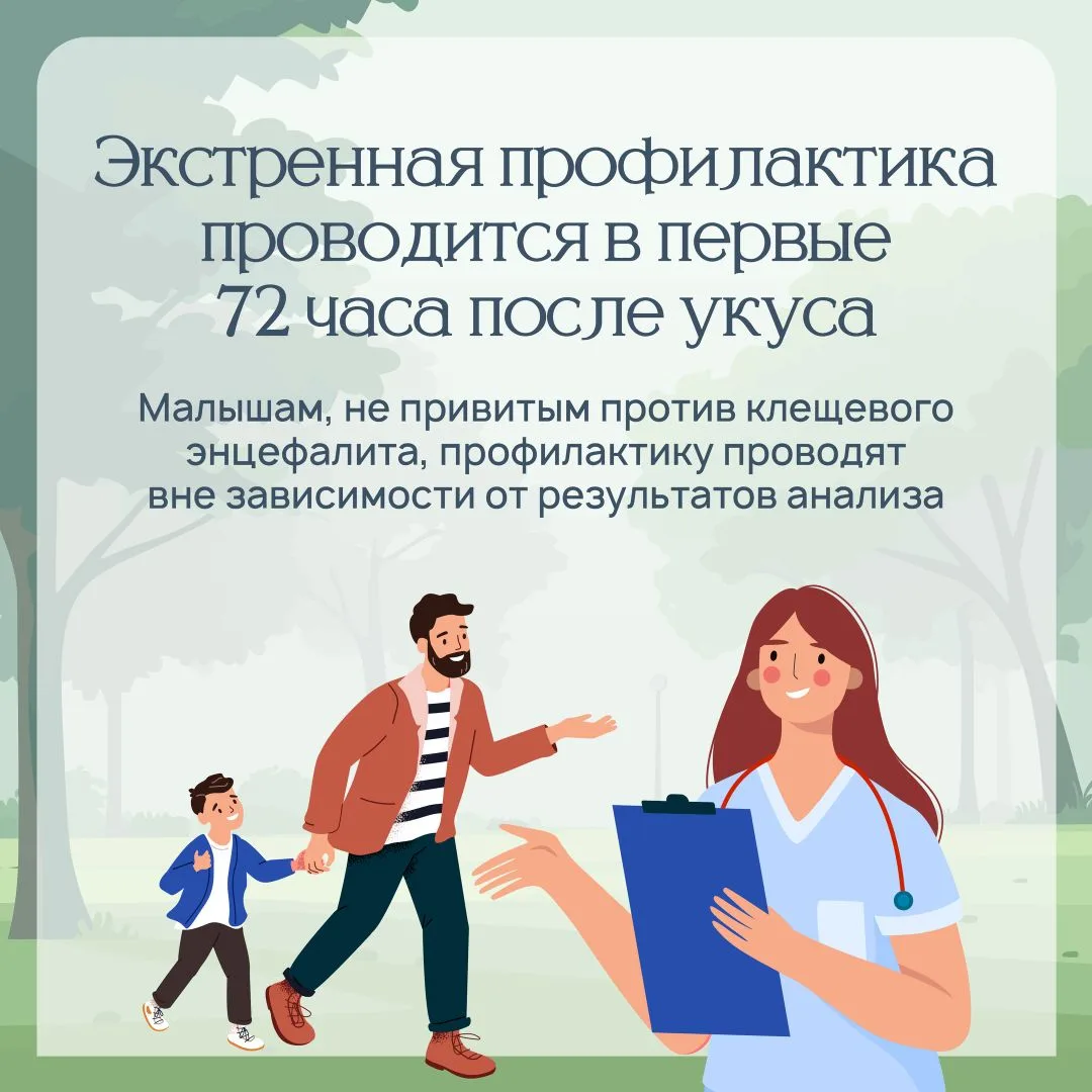 🌳 Осторожно, клещи: как защитить себя и близких.