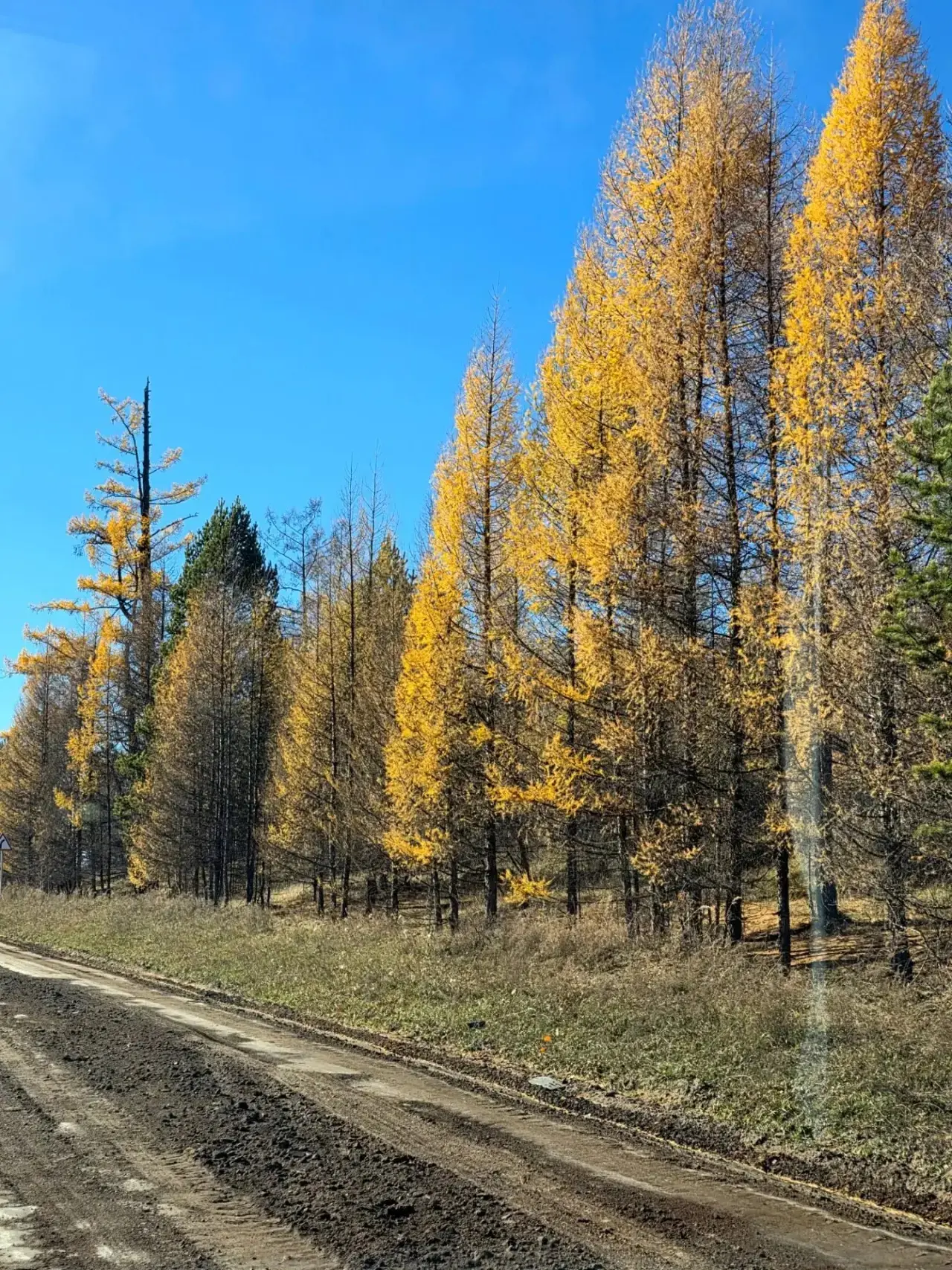 💬 «по дороге в Кижингу»