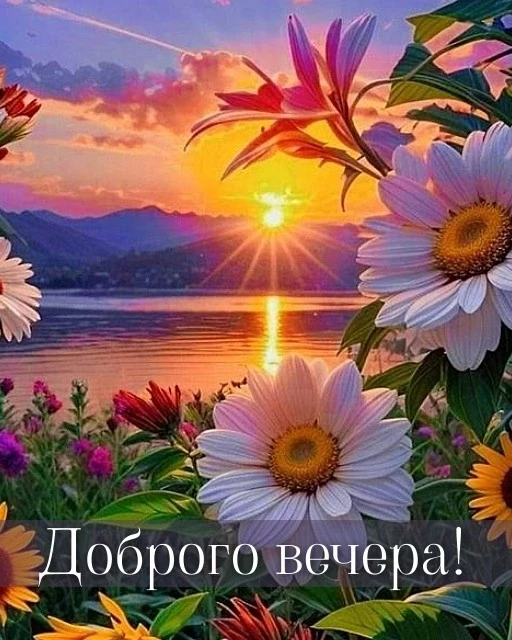 Доброго вечера!