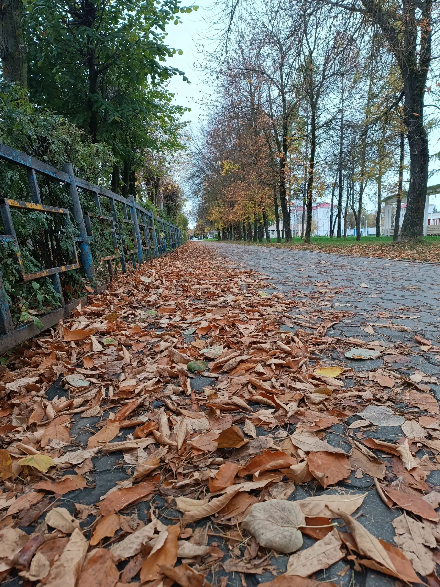 Доброе утро, Волгореченск!