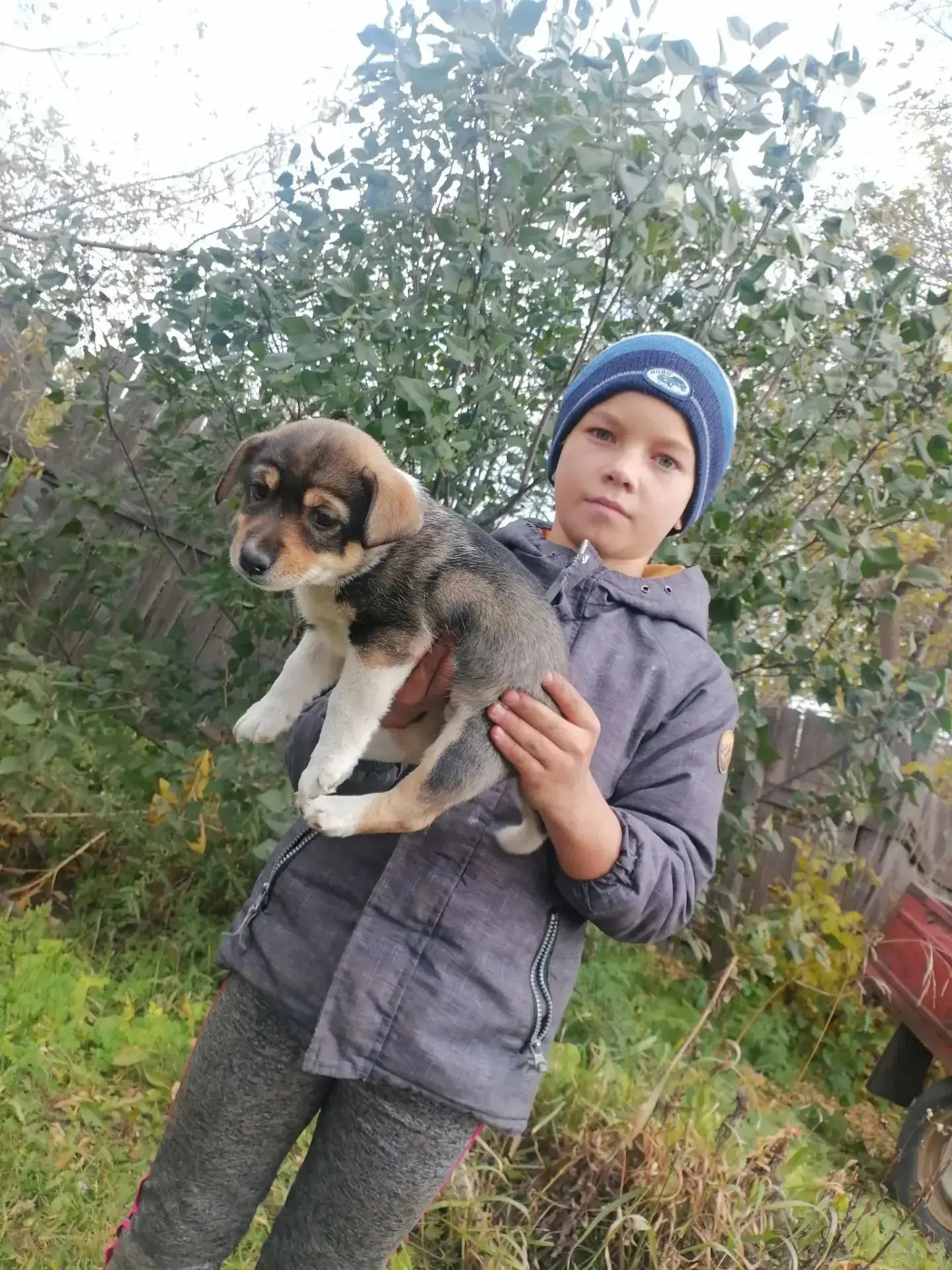 Это мой любимый щенок Жек! 🐶Я с ним играю, кормлю! Он появился у меня недавно, я очень...