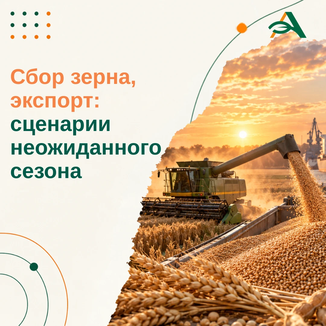 🔸Урожай зерна в России может снизиться до 140,7 млн тонн