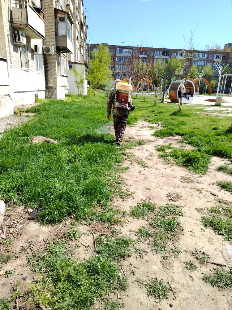 К новости «🌿 Уют начинается с чистого двора!»