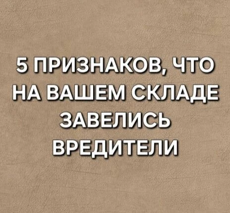 🐛 5 признаков, что на вашем складе завелись вредители