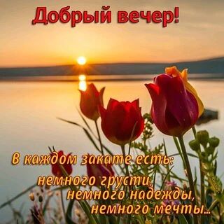 🌼 Пусть день будет лёгким и радостным!
