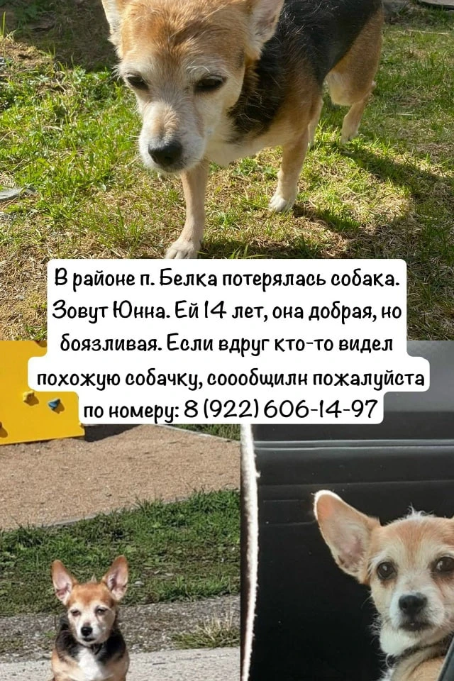 Здравствуйте, опубликуйте пожалуйста.