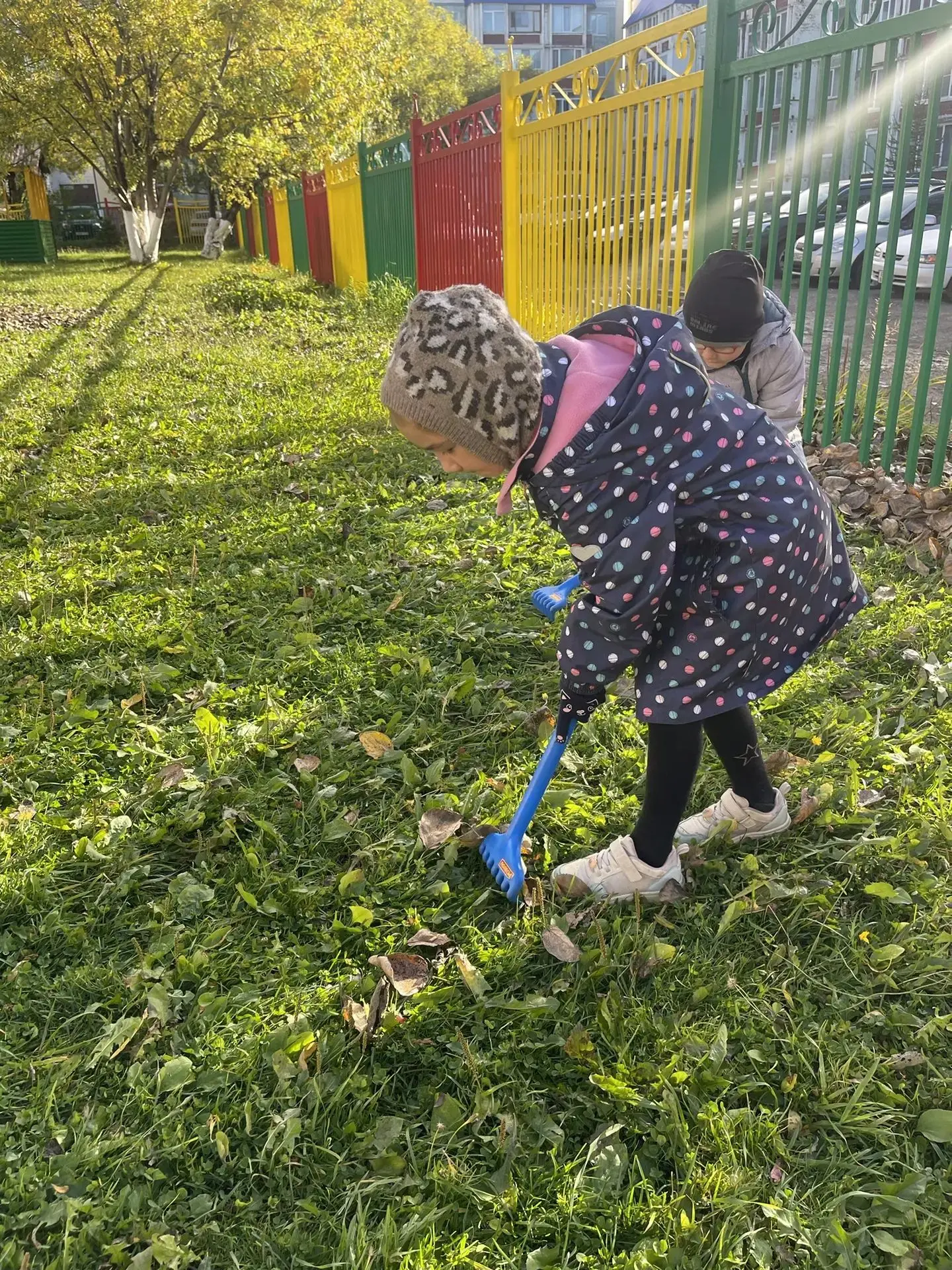 🍂 Помогаем делать наш участок чистым и красивым! 🍂
