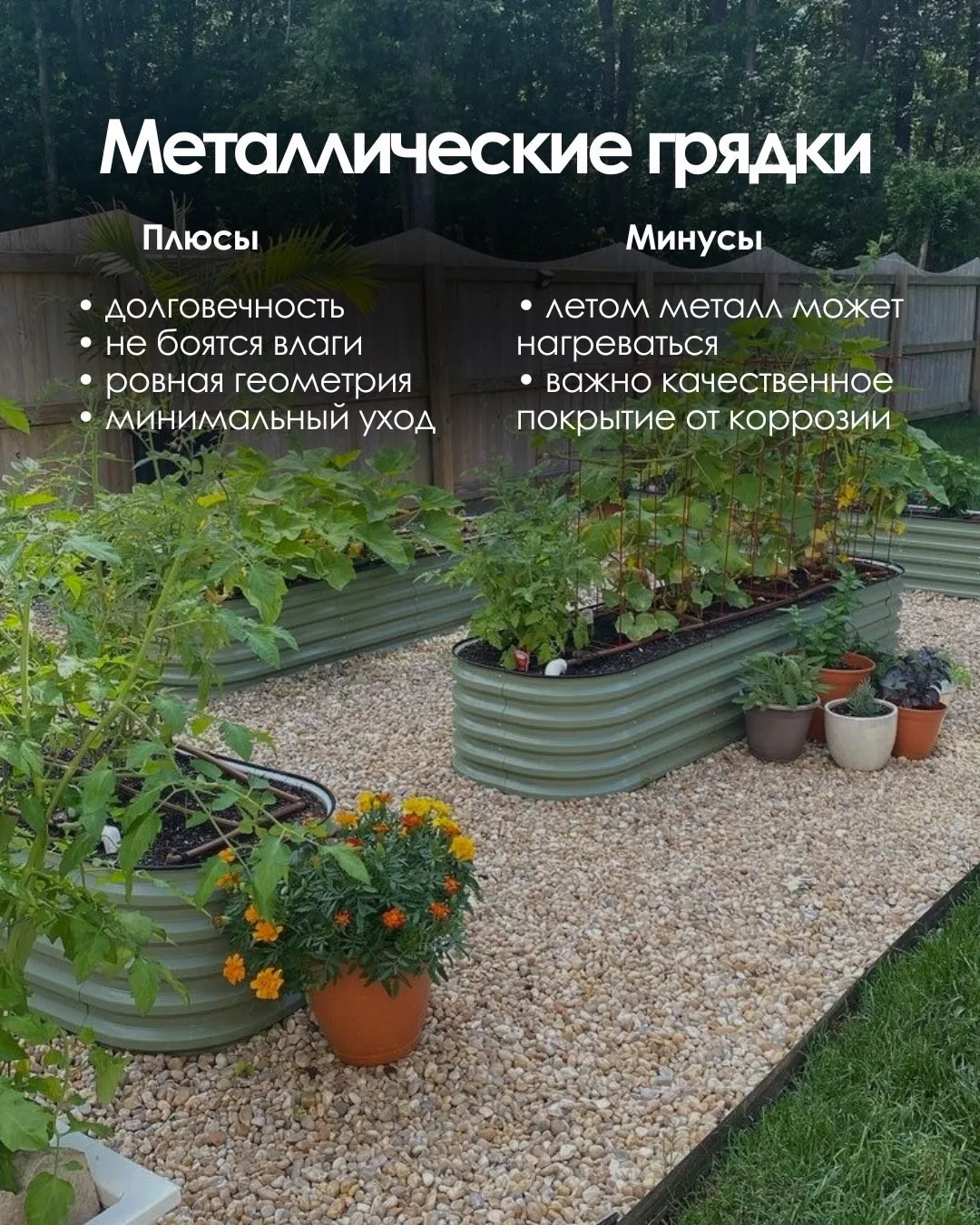 🌿Грядки, которые не развалятся через пару сезонов: честный разбор вариантов

#советы_и_идеи 

Подпи