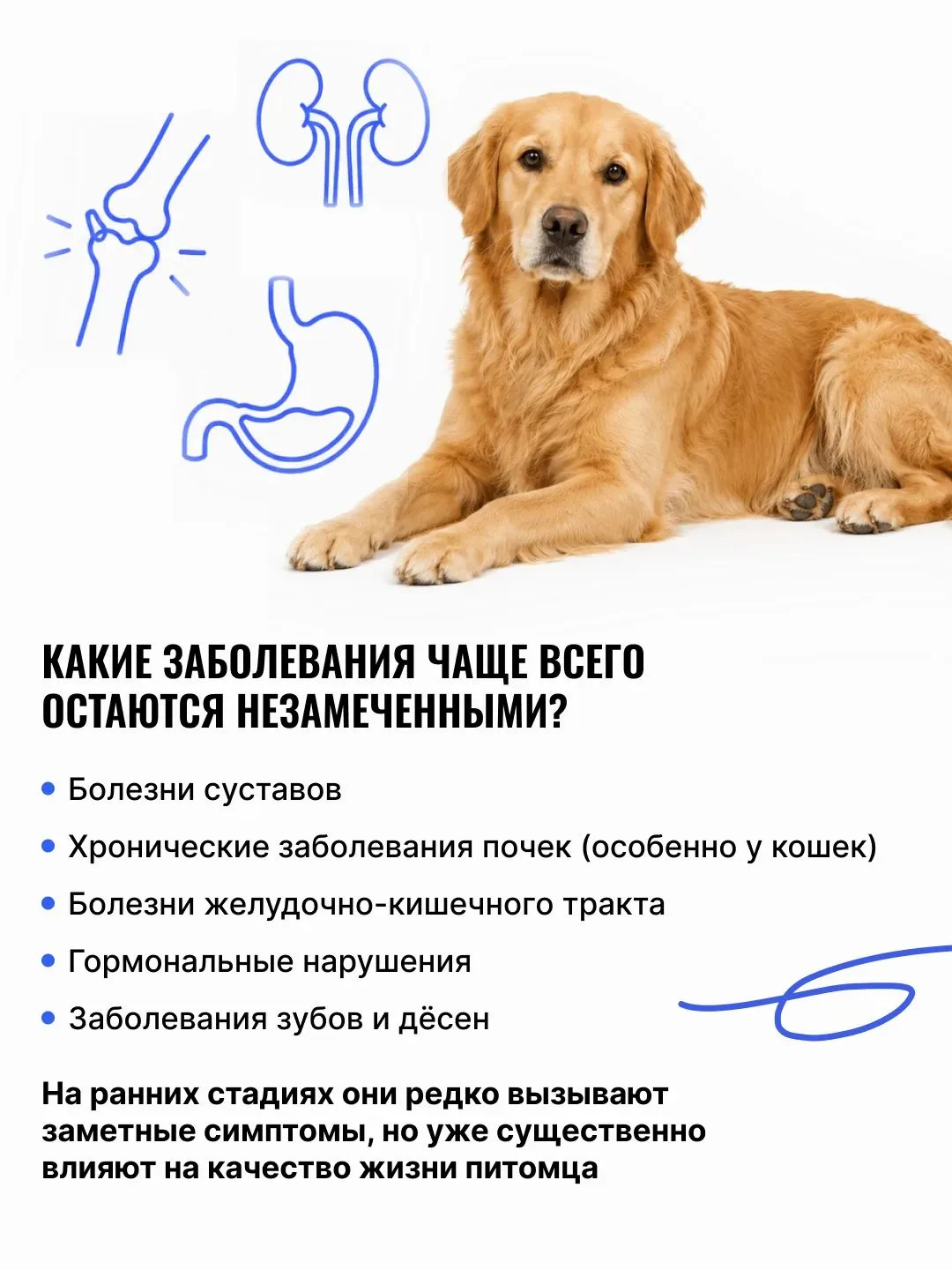 🐾 «Он просто стал спокойнее…», «Наверное, возраст…»

Именно так владельцы чаще всего объясняют изме