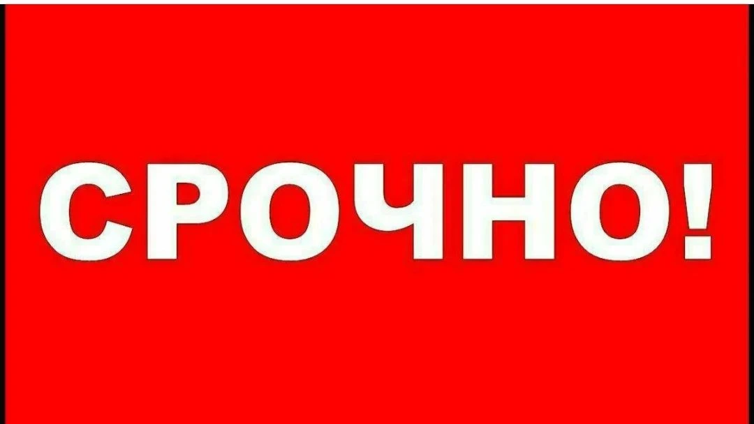 Женщина 1955 года рождения, которая вчера ушла за грибами и не вернулась, жива!