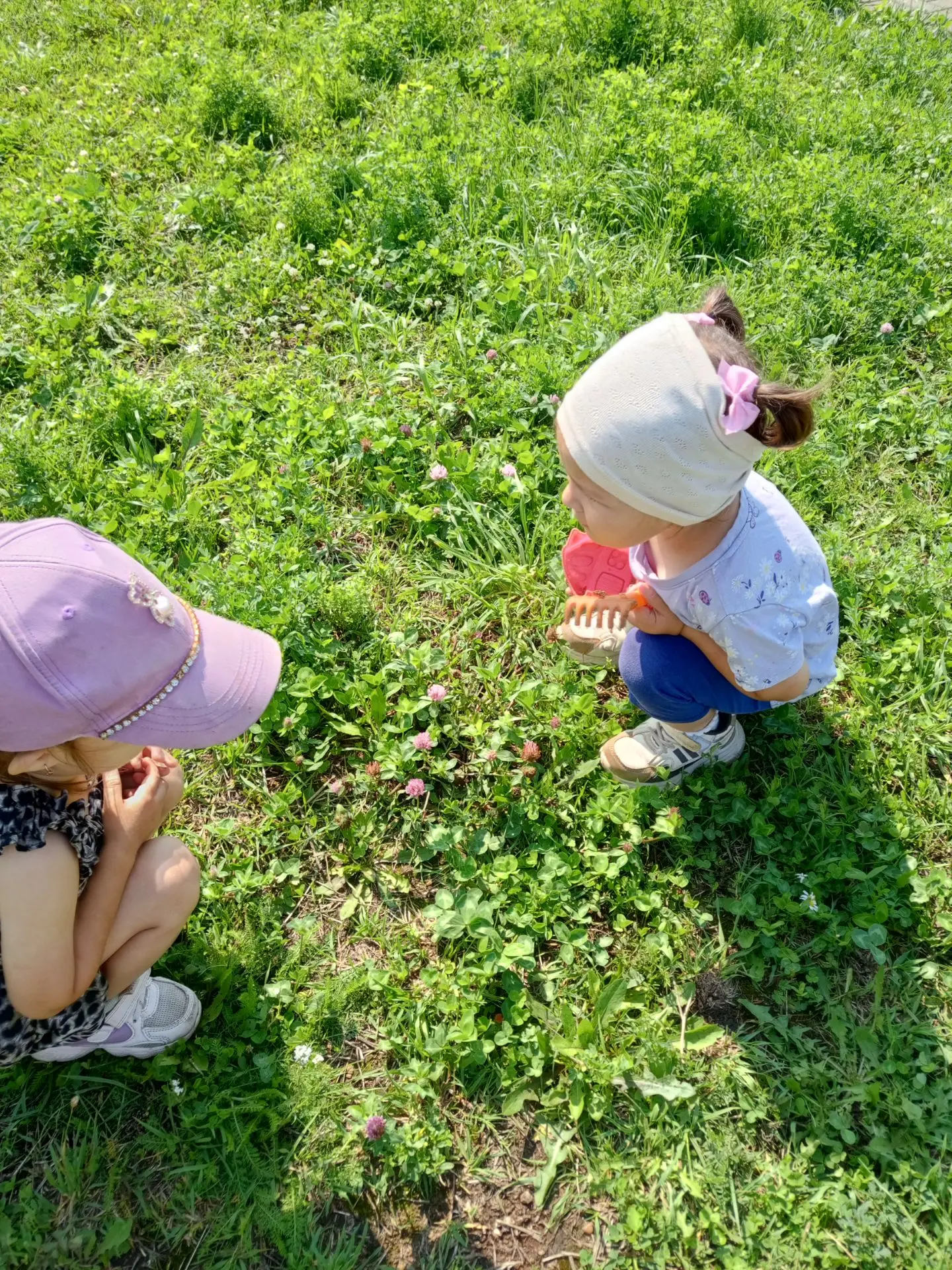 Группа "Кнопочки"
Наблюдаем за растениями 🌱, за улиткой.