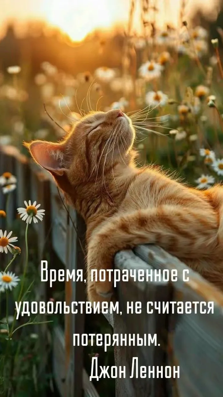 СОЛНЕЧНЫЕ ОТКРЫТКИ