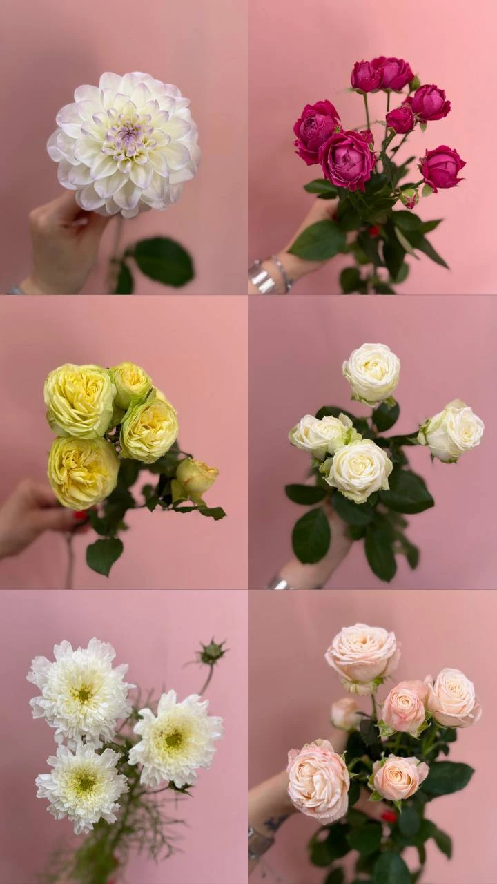 открываем октябрь красивущей поставкой😍