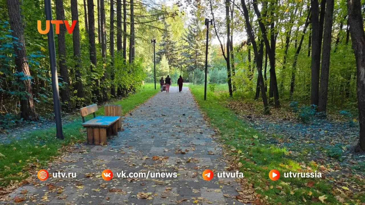 Скамейка и лес в краске: уфимка пожаловалась на последствия гендер-пати в дендропарке
