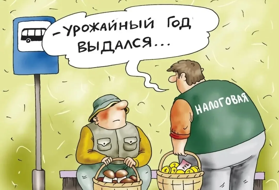 Россияне должны заплатить налоги до 1 декабря: за что и сколько придется отдать государ...