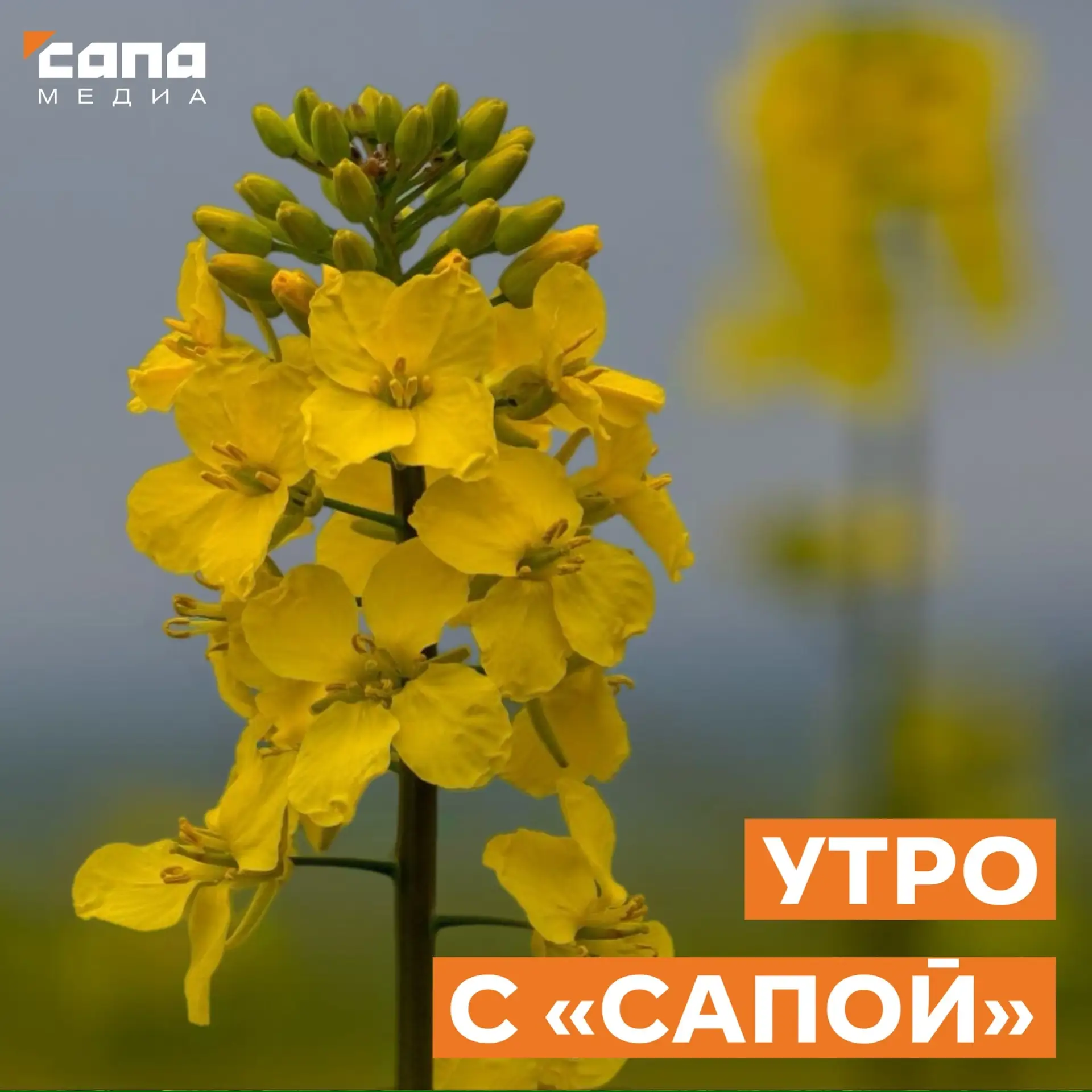 Информация, которая может тебе пригодиться  🔸 Сегодня в республике запланированы ограничения энергос