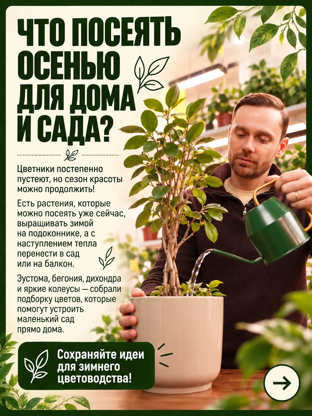 🪴 ОТ ПОДОКОННИКА ДО КЛУМБЫ: ЧТО ПОСЕЯТЬ УЖЕ ЭТОЙ ОСЕНЬЮ?