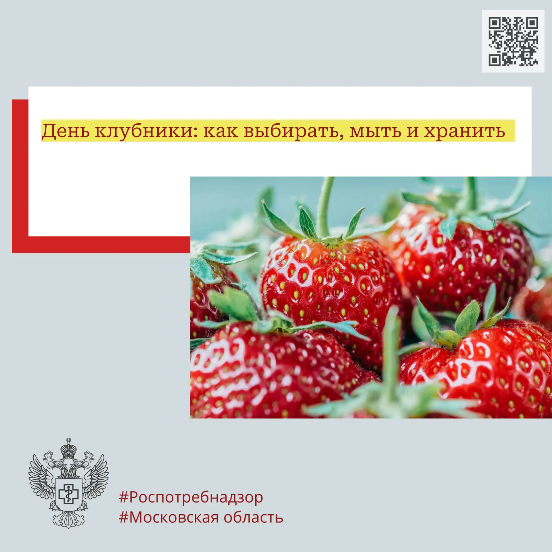 День клубники: как выбирать, мыть и хранить