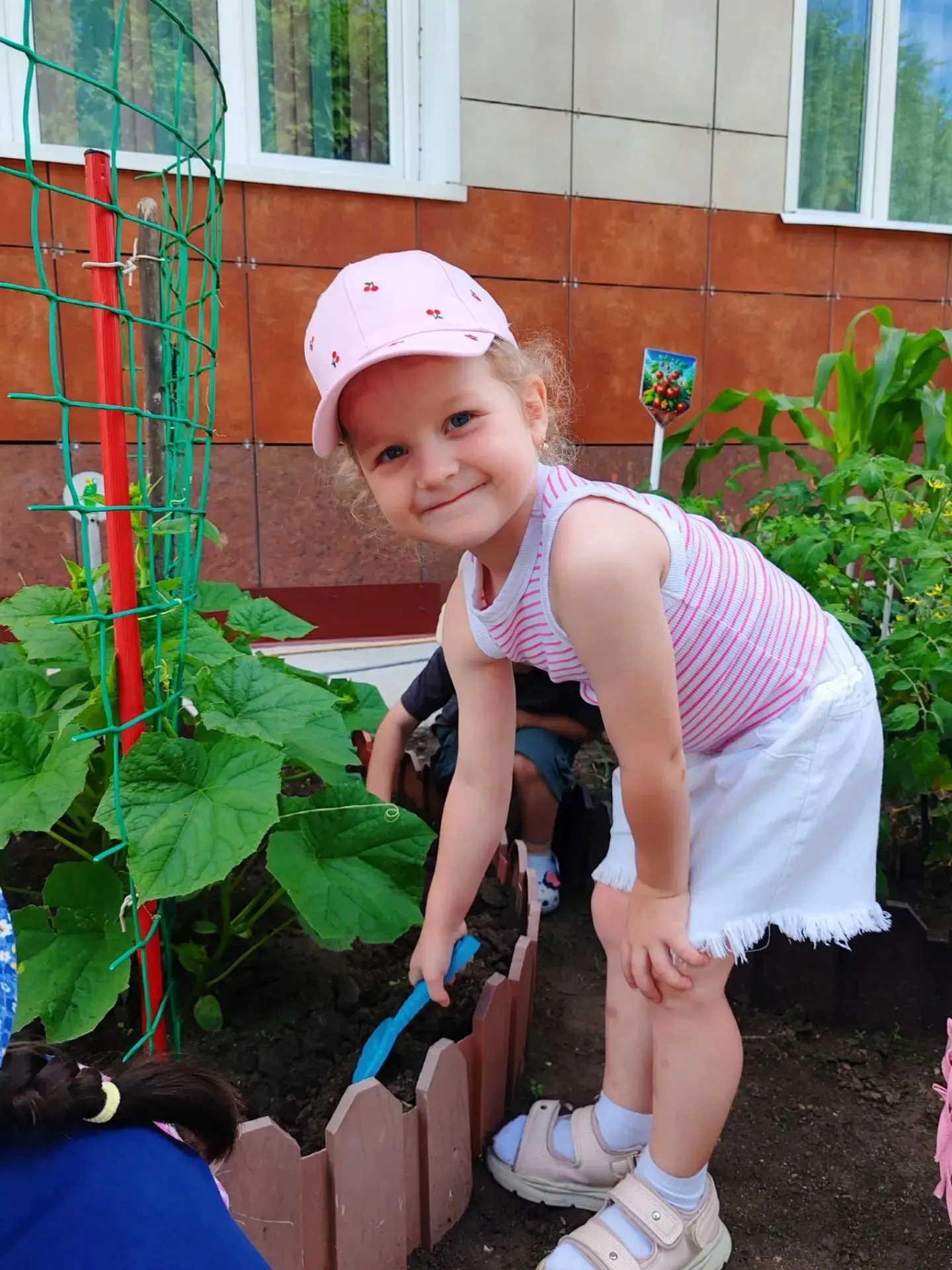 Посадили огород, не устанем от забот! 🫛🥬🥒🫑🌽🥕🧄🧅

     В нашем детском саду большое внимание у