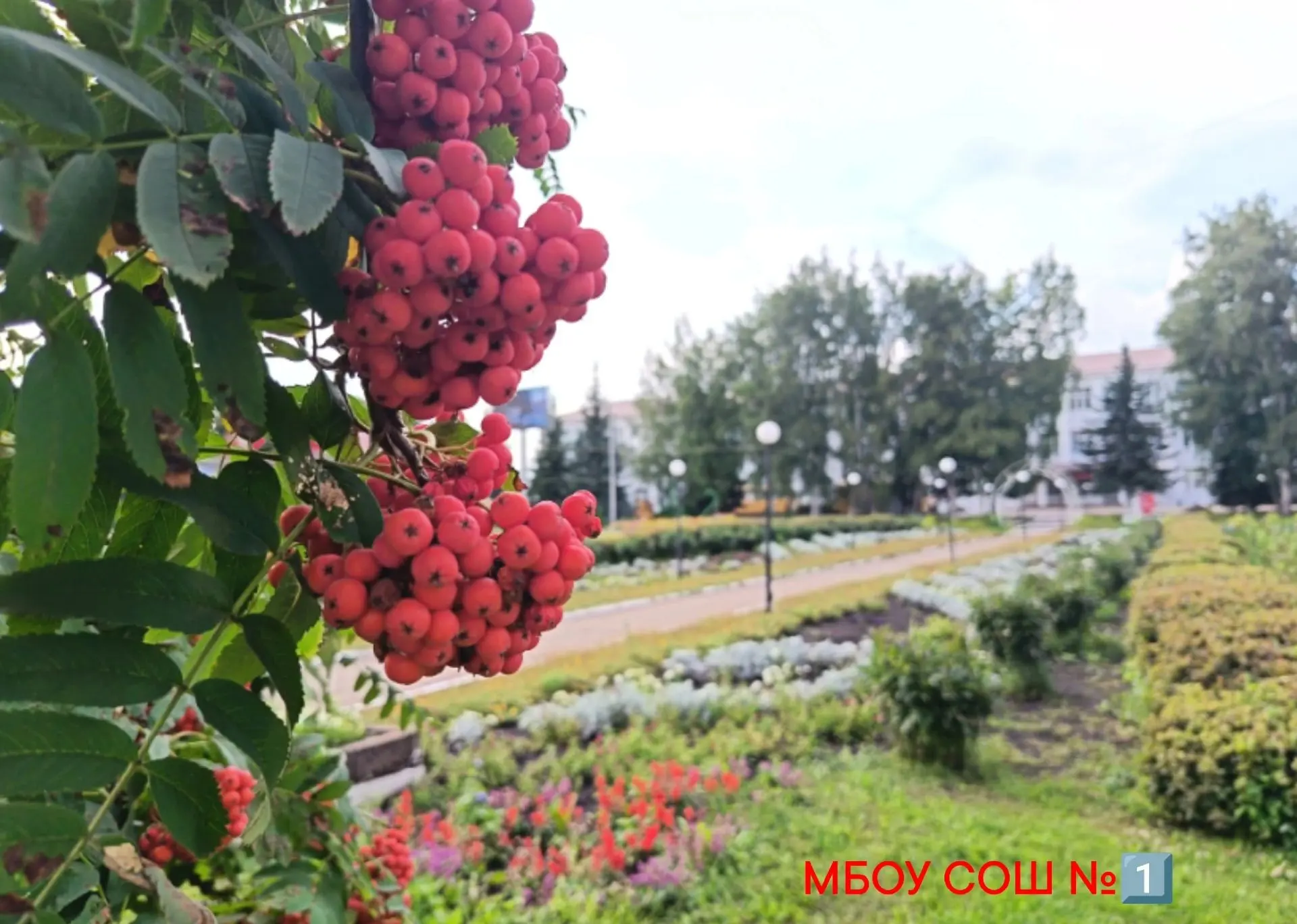 Доброе утро❤️