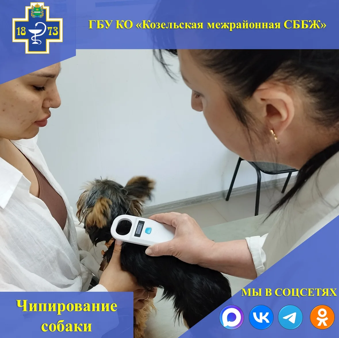 🐕ЧИПИРОВАНИЕ СОБАК: ЗАЧЕМ, КАК И ПОЧЕМУ ЭТО ВАЖНО!
Чипирование — это современный и надёжный способ 