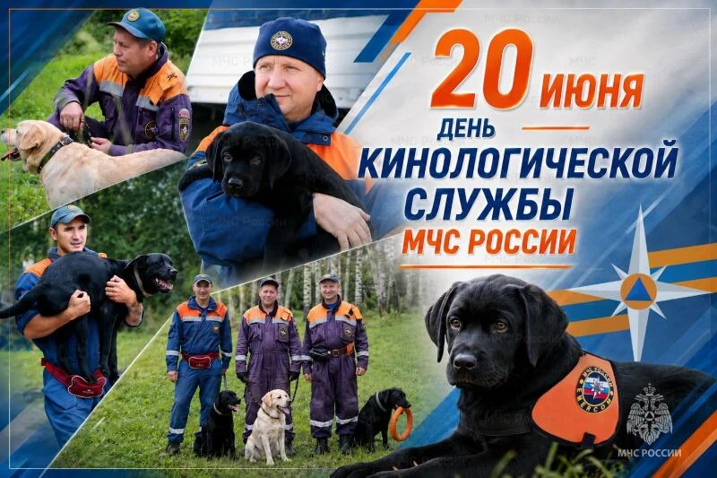 30 лет кинологической службе МЧС России

Сегодня свой профессиональный праздник отмечают специалисты