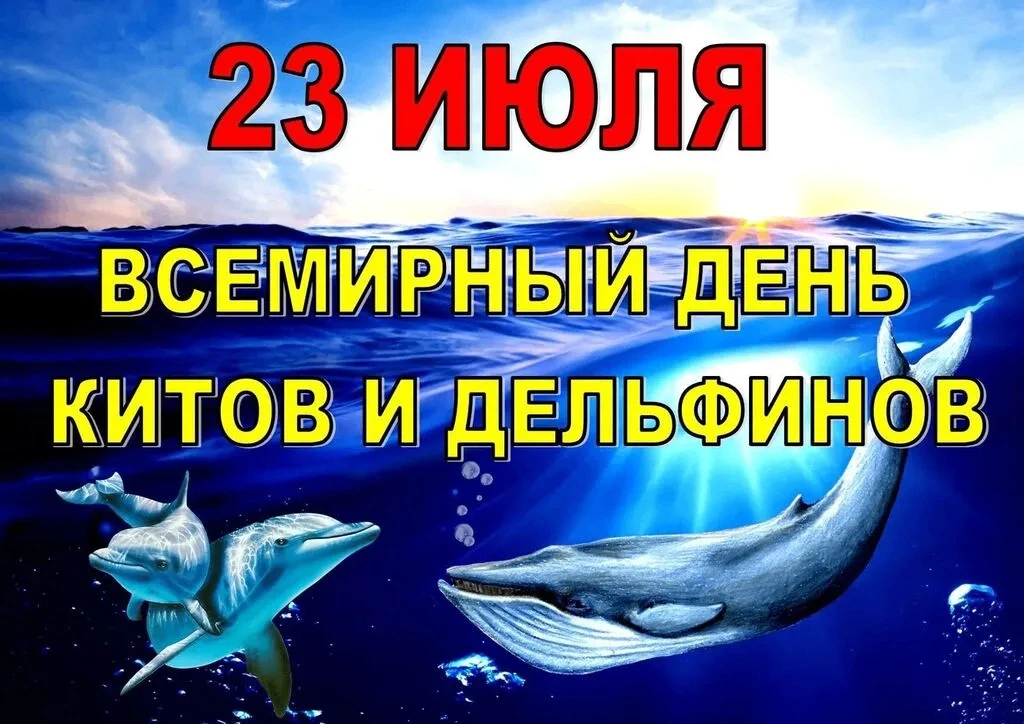 🐳 Сегодня, 23 июля, мы отмечаем Всемирный день китов и дельфинов – день, посвященный одним из самых