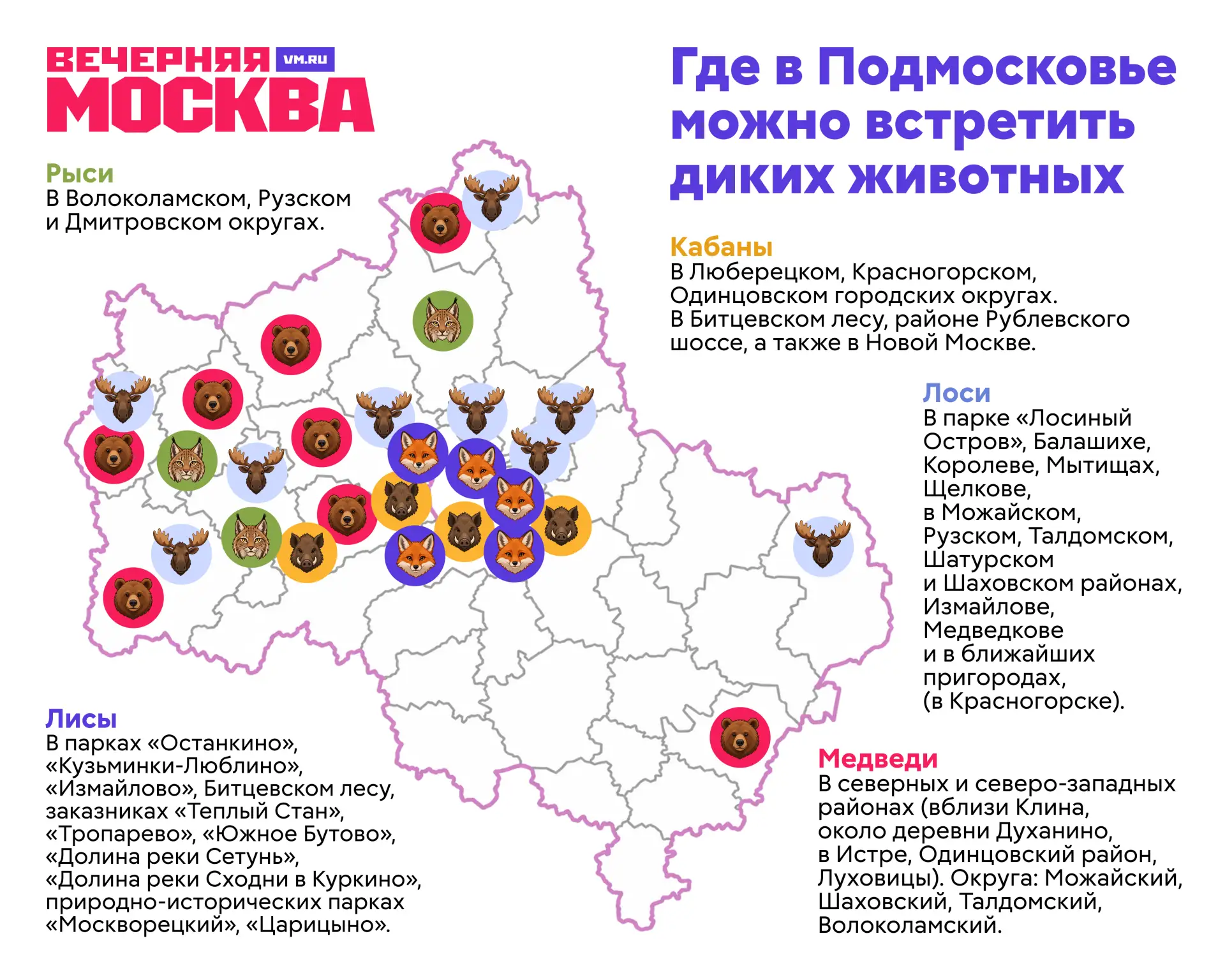 🐾 За шумными магистралями и жилыми кварталами в московском регионе сохранились настоящ...