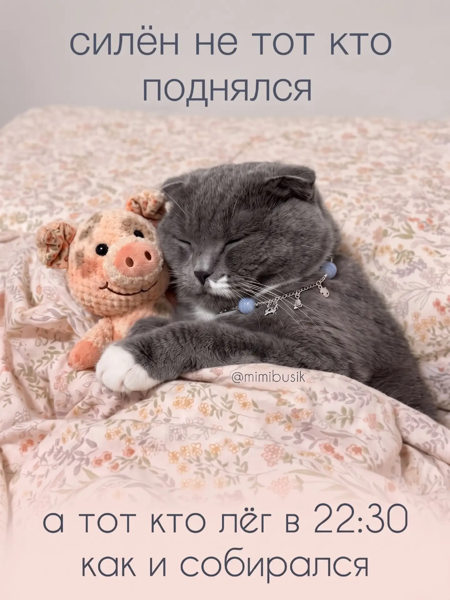 Завтра понедельник, а послезавтра начинается школа, так что начинаем быть сильными уже ...