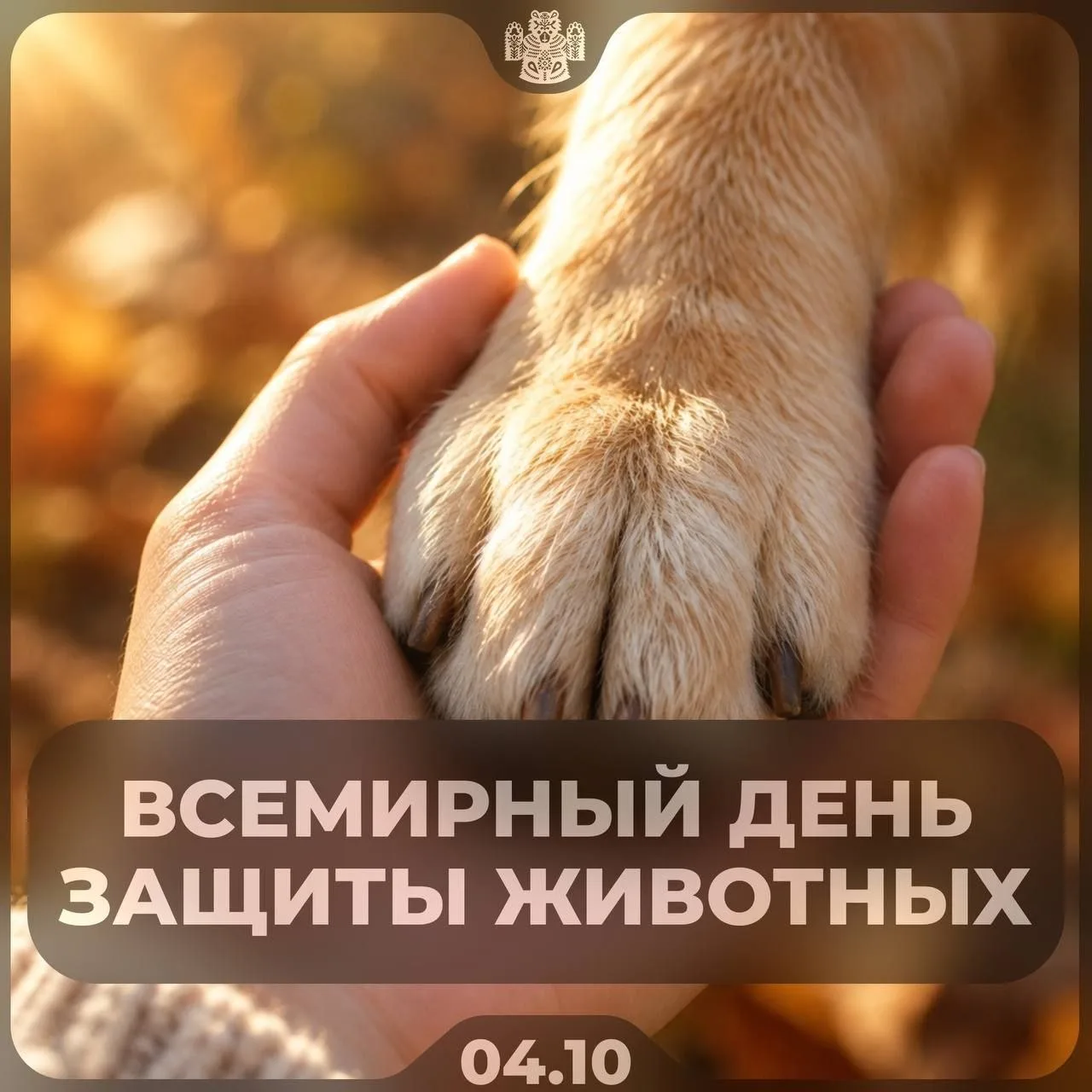 Отмечаем Всемирный день защиты животных. Сегодня хочется сказать спасибо всем, кто забо...