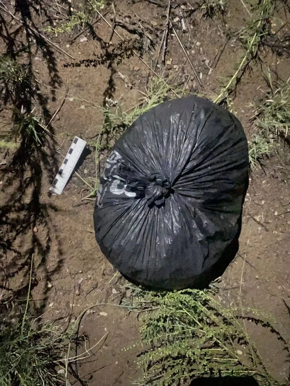 🚔 В Кызыле у мужчины изъяли более 235 граммов марихуаны