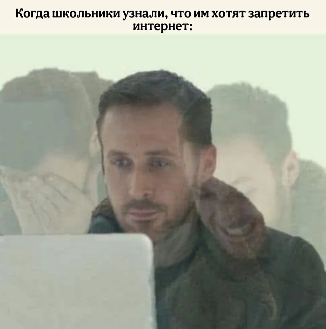 Запретить доступ в интернет детям до 14 лет предложили в России.  Такую идею выдвинул член ОП Евгени