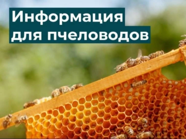 Уважаемые пчеловоды!