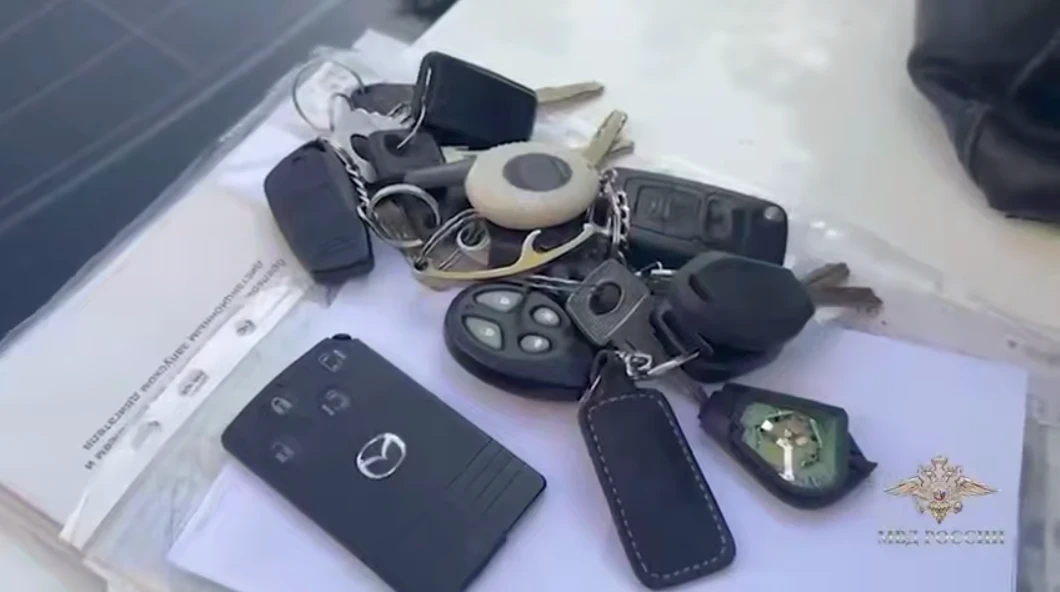 В Челябинской области раскрыли крупную сеть автомошенников

Полиция задержала 35 человек, которые на