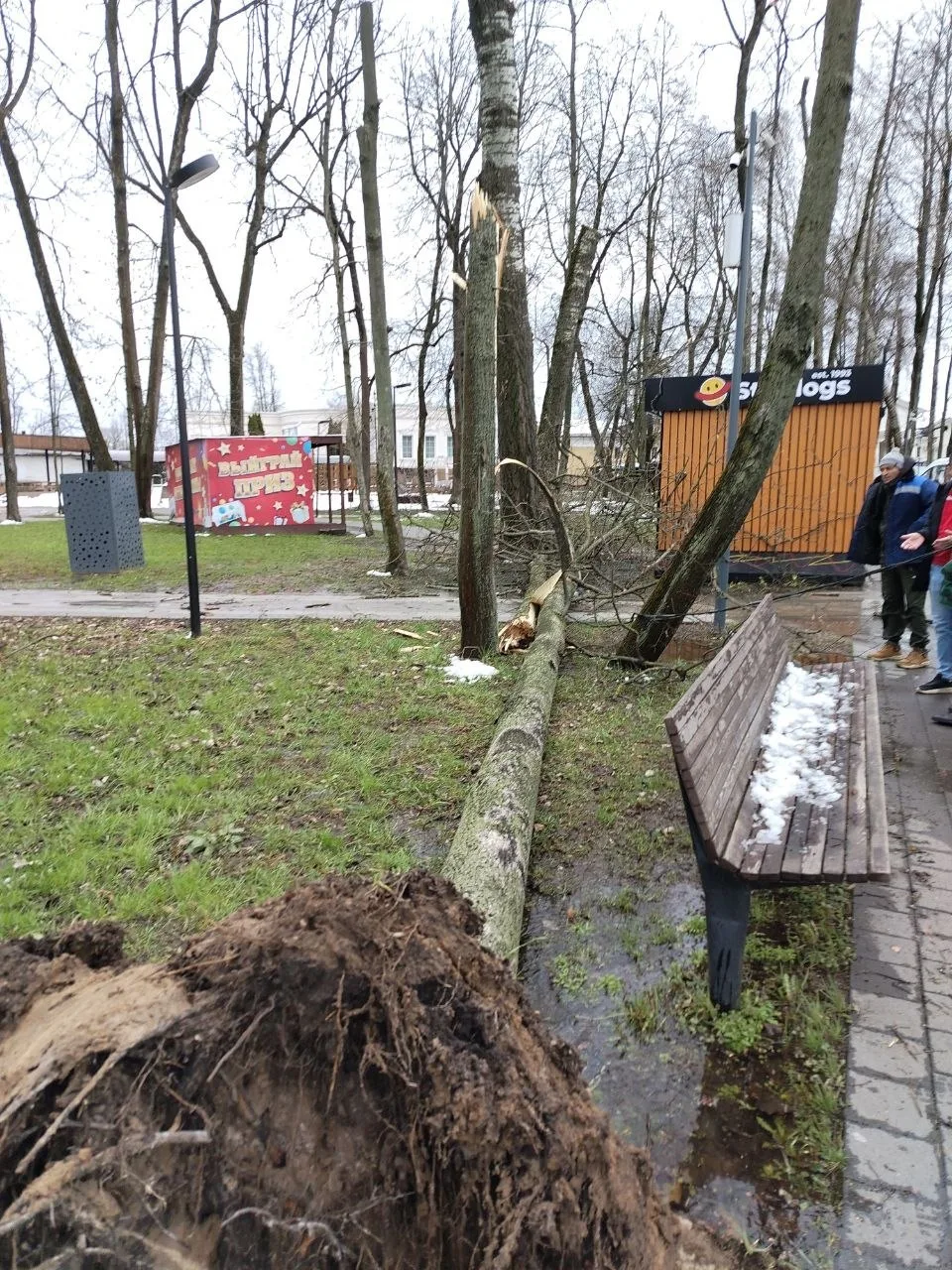 Парк Олега Степанова временно закрыли из-за риска падения деревьев  Два уже упало.  Откроют, как сти