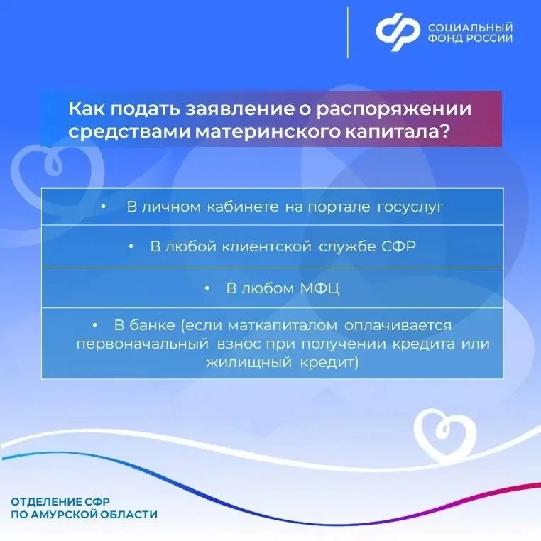 Изображение 6 к публикации «Социальный фонд России по Амурской области»