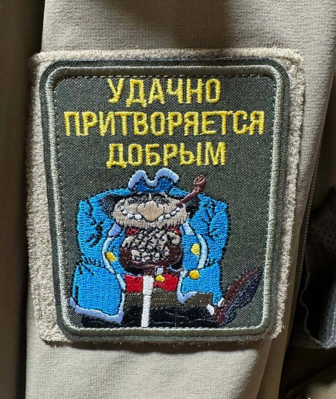 #ШевронДня