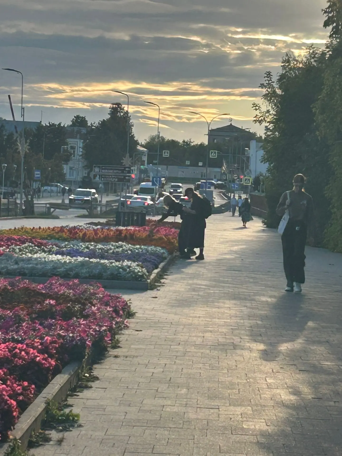 Дорогие друзья! Конечно все понятно « цветы у нас красивые в городе , есть клумбы . Но ...