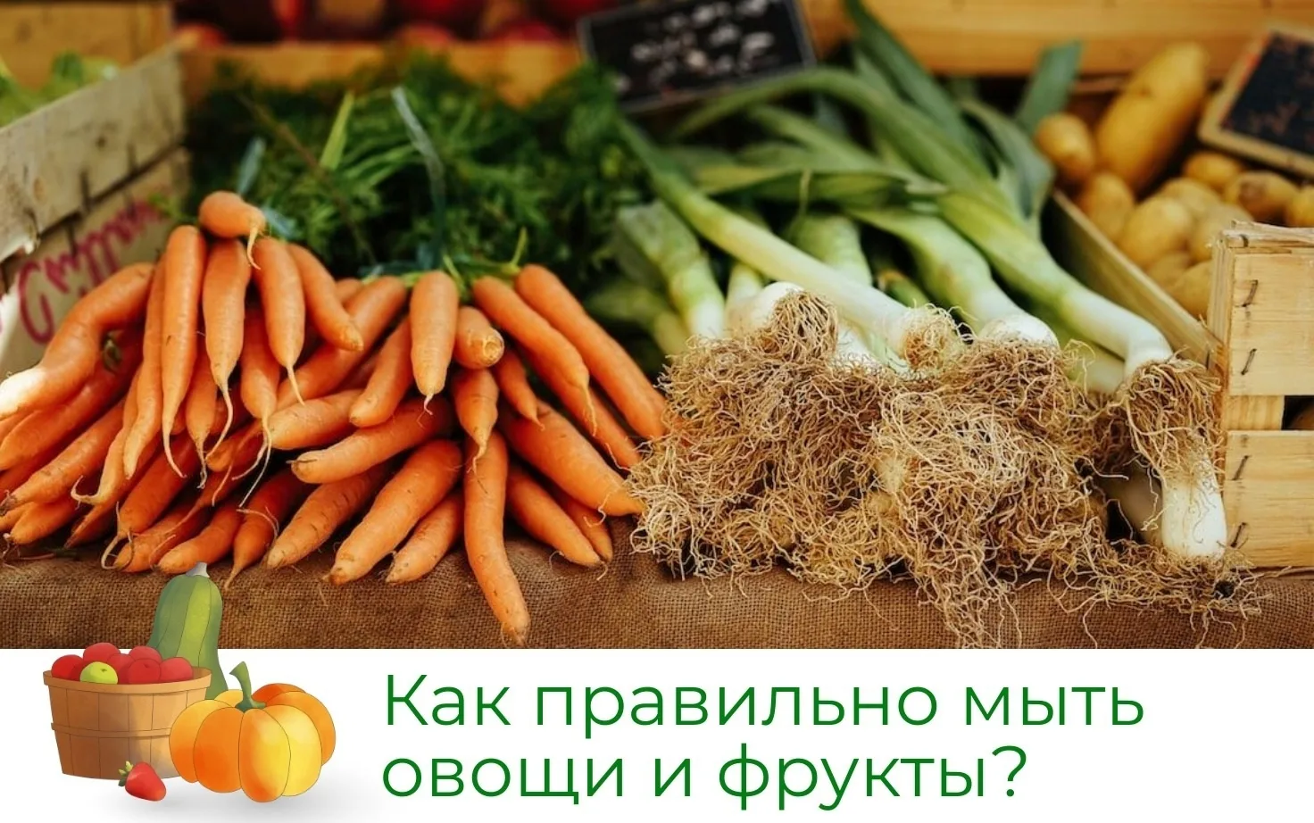Время водных процедур: как правильно мыть овощи и фрукты?

❗При нарушении правил гигиены нетрудно за