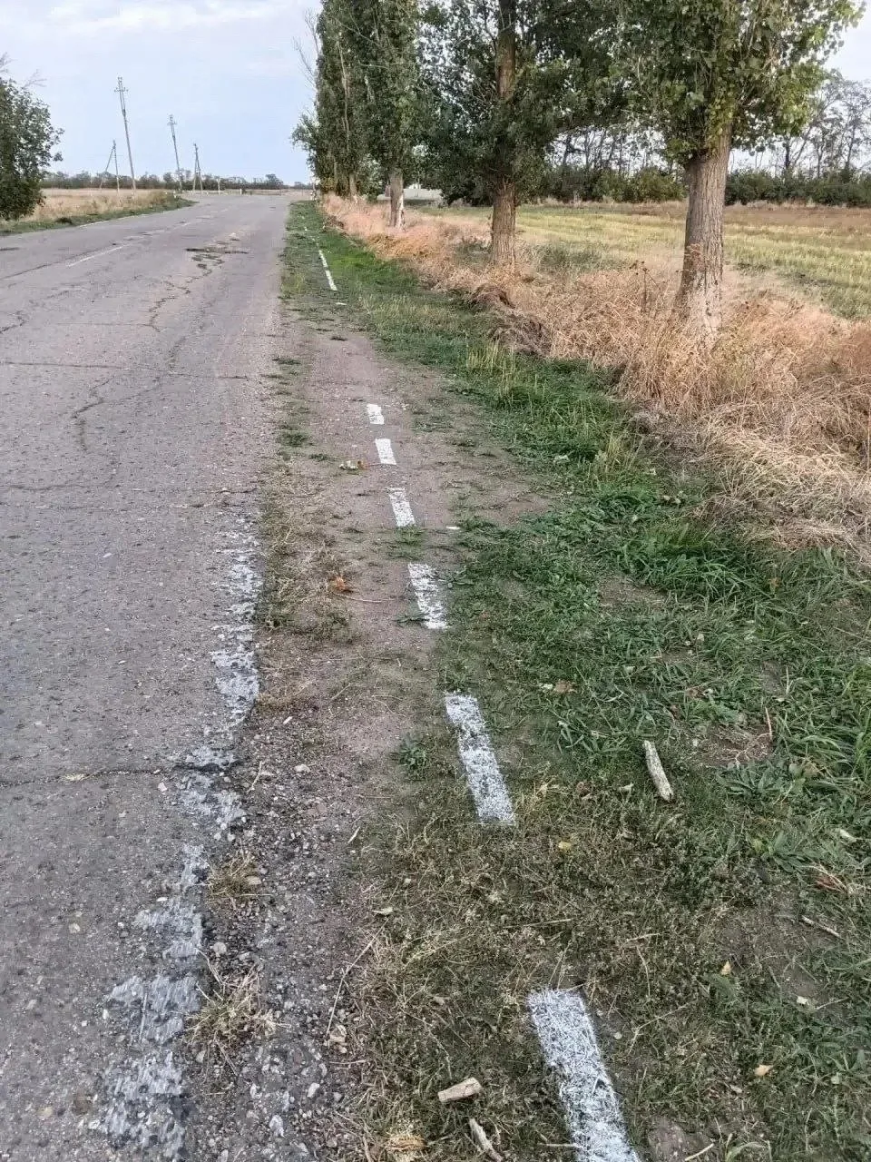 🛣Дорожная разметка прямо на траве, вместо проезжей части