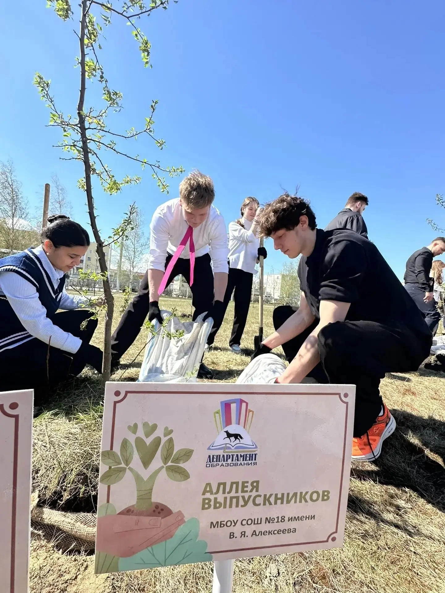 🎓🌳 «Аллея выпускников»: память в сердце, забота в делах   В этом году акция «Аллея выпускников» объе